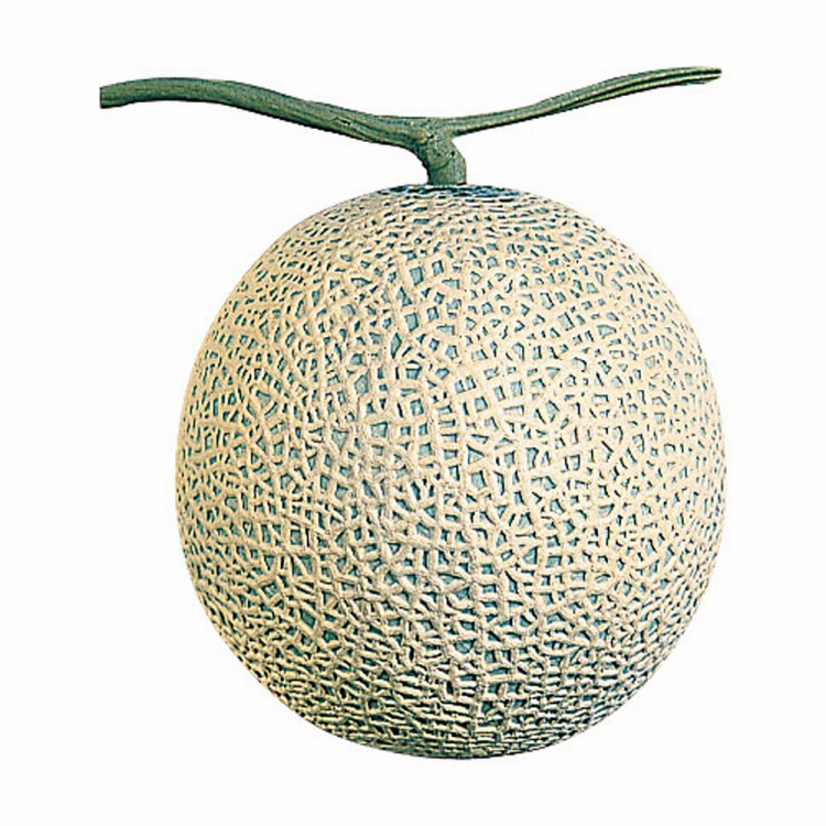 メロン 今年もお届けします！Mama's Harvest 富良野山部メロン超特大