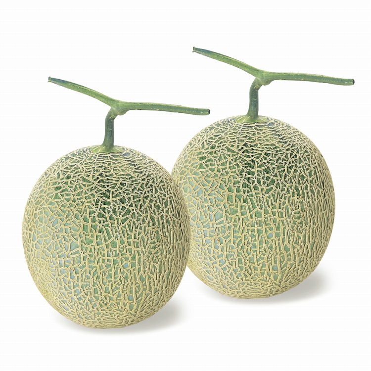 北海道メロン | ハーモニック 商品検索サイト