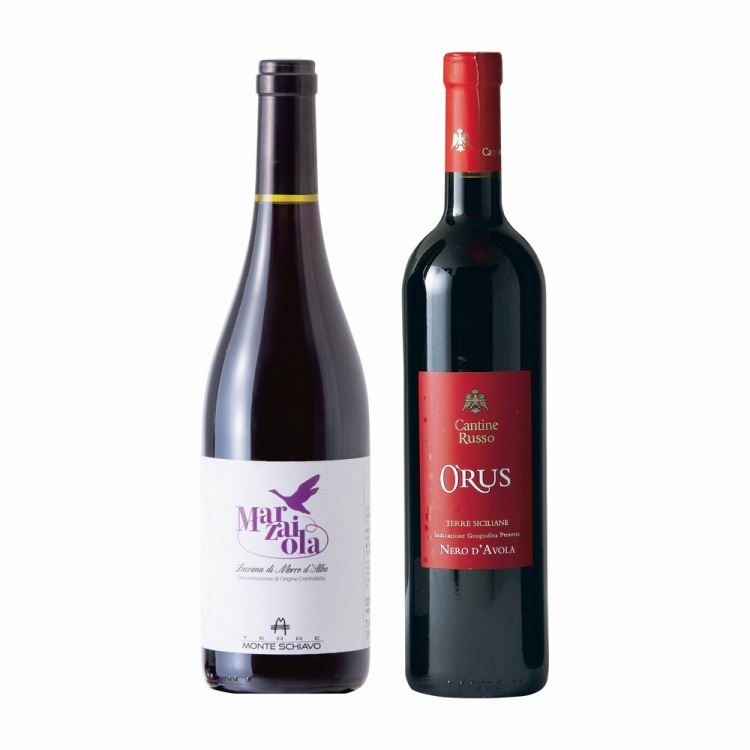 イタリア赤ワイン2本セット | ハーモニック 商品検索サイト