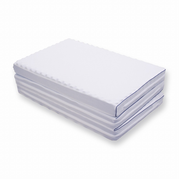 500309101001