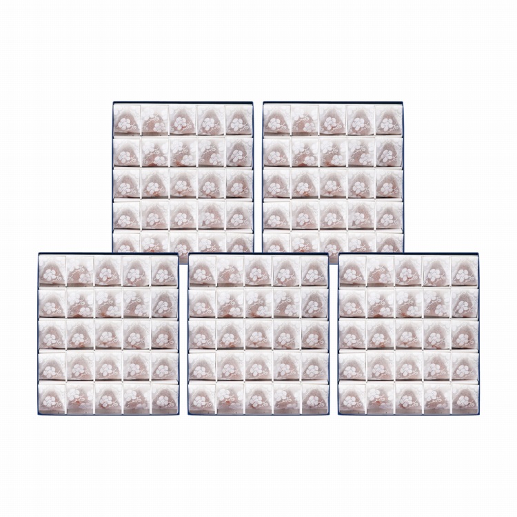 500386831001